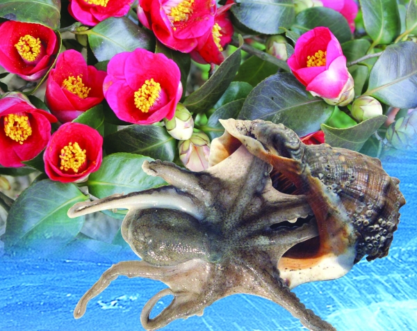 제20회 동백꽃주꾸미 축제 한 달여 앞으로 성큼