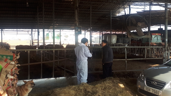 무허가 축사 적법화 현장순회 설명 장면