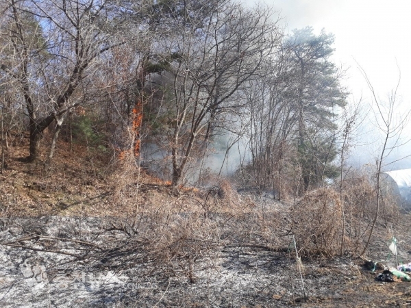 ​세종시 조치원읍 죽림리 근린생활시설(사진= 세종시소방본부)세종시 조치원읍 죽림리 근린생활시설(사진= 세종시소방본부)​