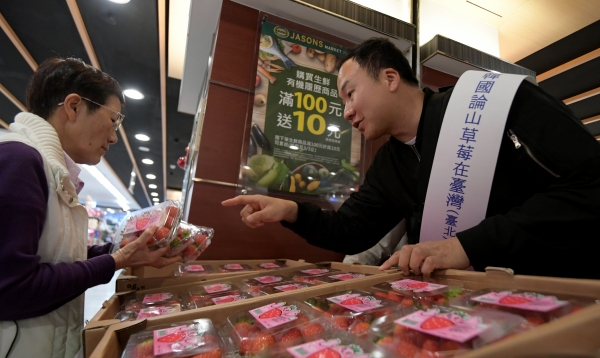 대만에 딸기 판족행사 모습