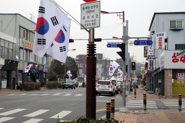 제100주년 3.1절 나라사랑 태극기 운동 전개(장항읍 거리 모습)