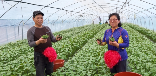 장문광 김미란씨 부부