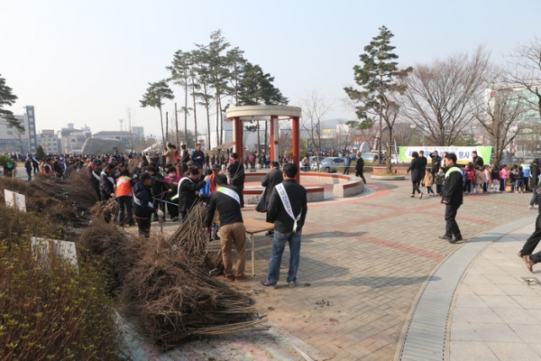 나무 나누어 주기 행사 장면