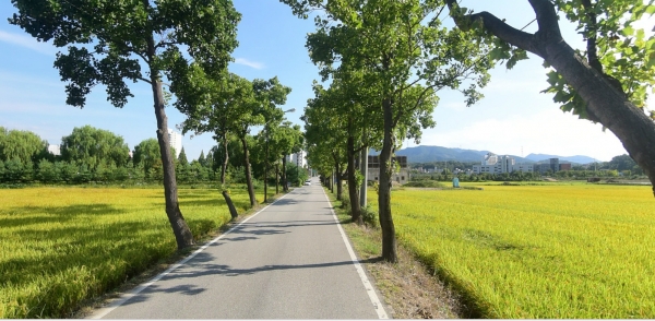 시도15호 준공전