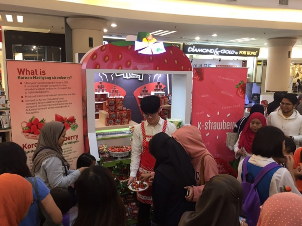 한-말레이시아 한류·할랄 전시회 한국산 딸기 홍보관 전경