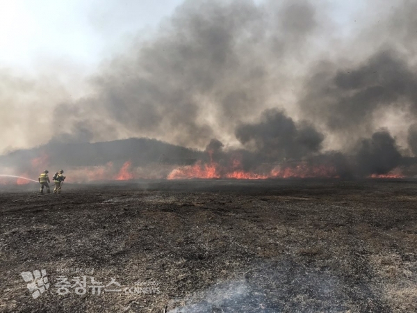 임야 약 1.5ha 소실