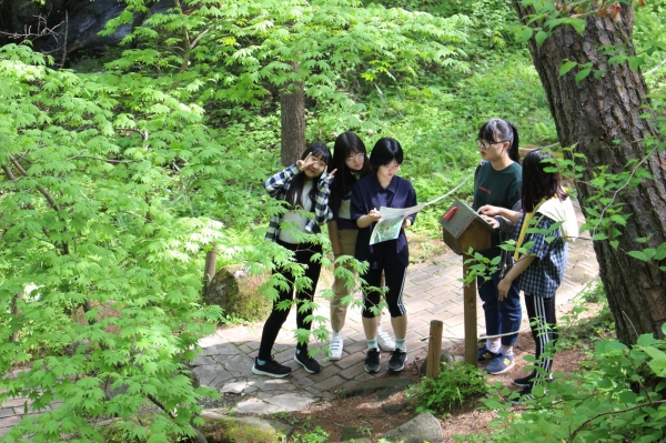 대안 청소년 산림교육프로그램