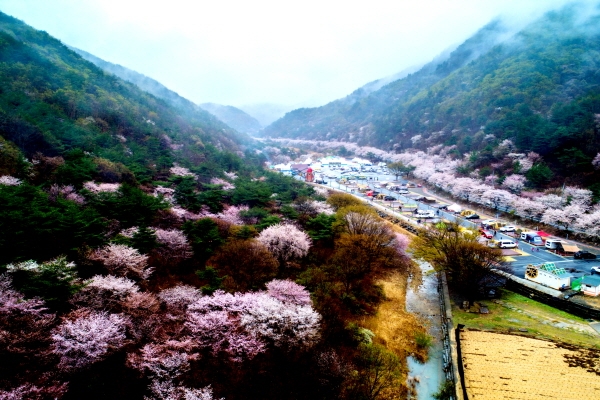 지난 보곡산골 모습