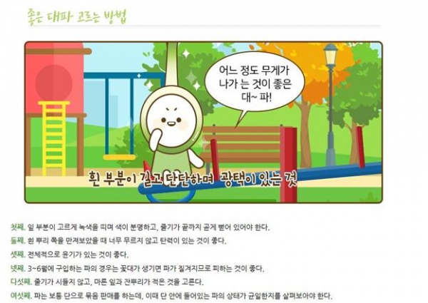 좋은 대파 고르는 방법 및 대파 신선 보관방법, 대파의 효능