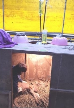 찾아가는 행정서비스_찾아가는 질병관리제 진료사진