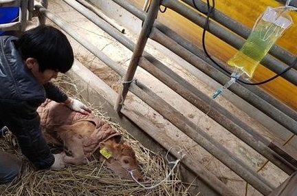 ​찾아가는 행정서비스_찾아가는 질병관리제 진료사진​