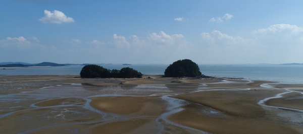 해양수산부의 국고보조사업인 수산자원 산란·서식장 조성사업에 선정 (비인면 선도리)