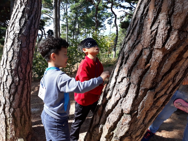 홍성군 마을공동체행정_홍성관광두레에서 진행하는 숲체험을 즐기는 아이들