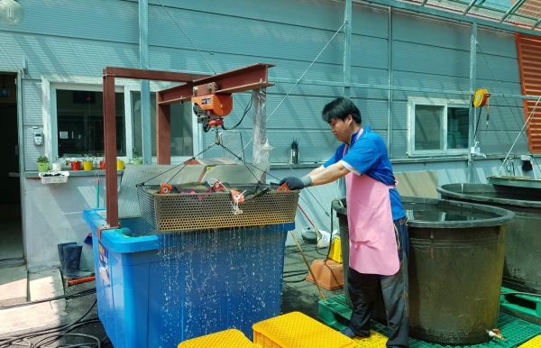 볍씨 종자 소독