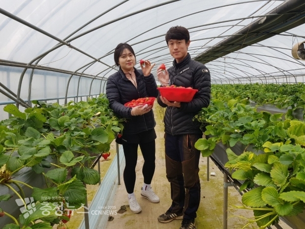 당진시 신평면 최성원(31)·박설연(27)씨 부부