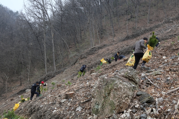74회 식목일 기념행사