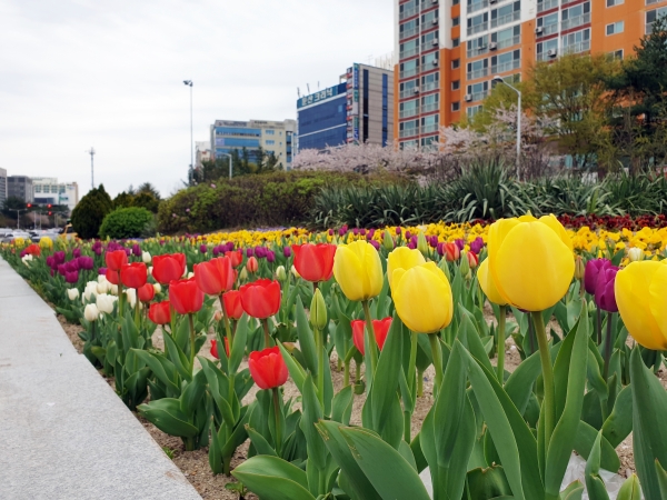 큰마을네거리 교통섬