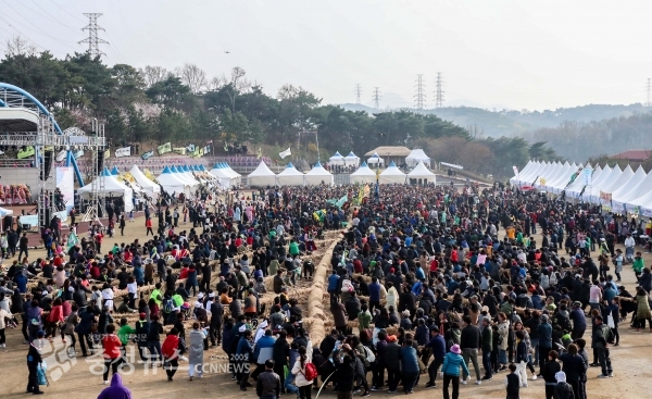 2019년 당진시 기지시줄다리기 민속축제 / 충청뉴스 최형순 기자