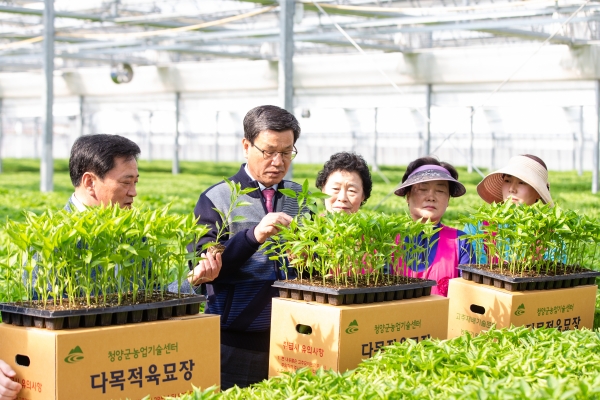 김돈곤 청양군수 고추 육묘상태 점검