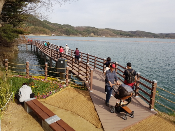 예당호 데크 모습