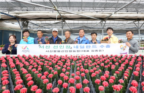 서산 선인장 네덜란드 등 전세계 본격 수출!