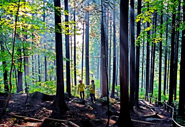 국립장성숲체원 치유의숲