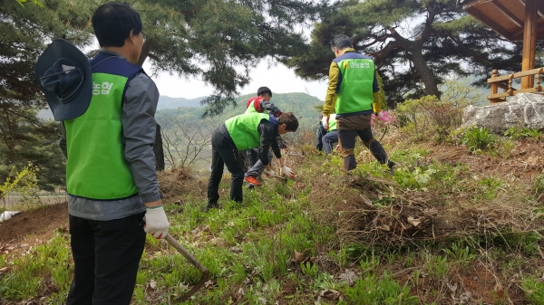 이석우 충남농협 검사국장과 검사역들이 팜스테이마을에서 농촌 부족일손을 돕고 있다