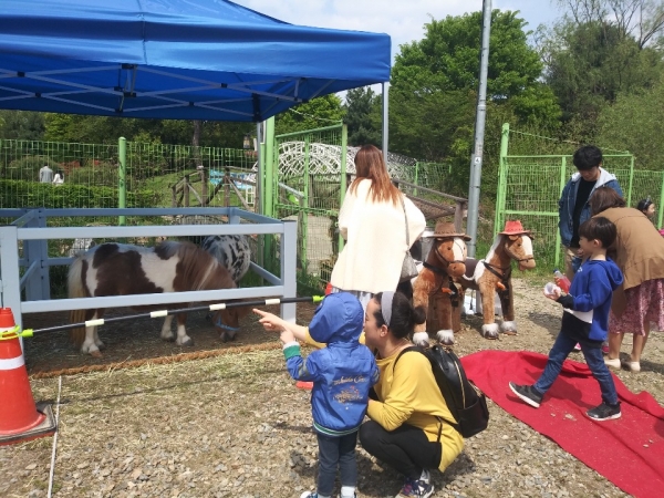 도심공원 승마체험 행사