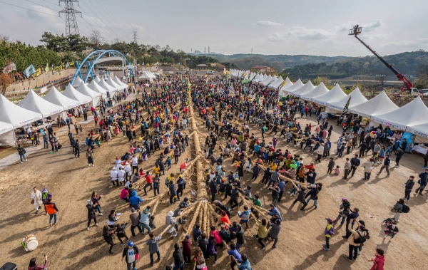 기지시줄다리기 행사 사진