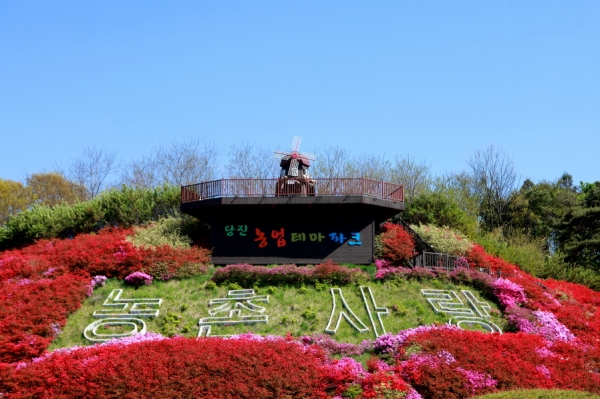 농심테마파크 전경