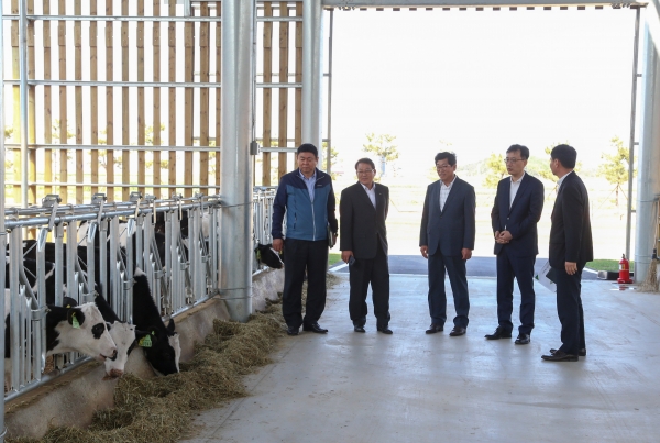 이건호 부시장 농업현장 방문(육성우 목장 조성사업 현장).