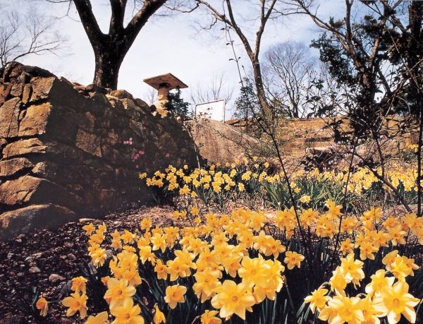 안국사지 석불입상