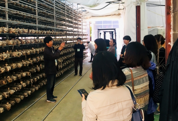 서산시 학부모 건강 먹거리 지킴이단이 인지면 소재 친환경 버섯농장에서 견학을 실시하는 모습