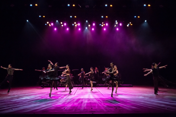 국립현대무용단 스윙 공연