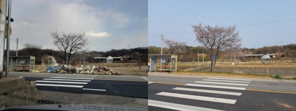 쓰레기 투기 민원처리 전, 후 비교 모습