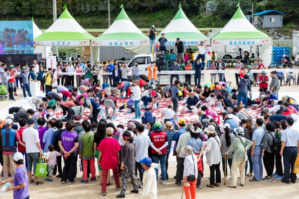 2018청양고추구기자축제-1000원 내고 고추 담아가기 모습