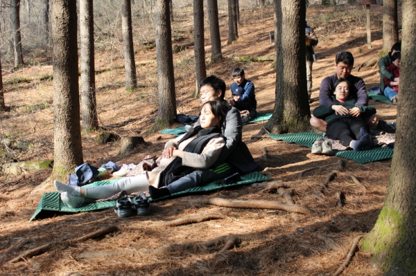임신부가 강원 횡성군 둔내면 국립횡성숲체원에서 숲태교 프로그램 체험
