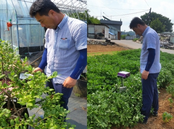 농작물 수분 측정 모습