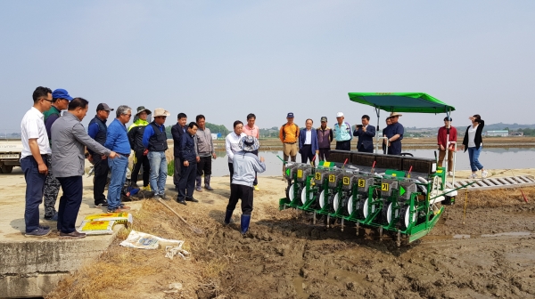 벼 무논점파(직파) 연시회 개최