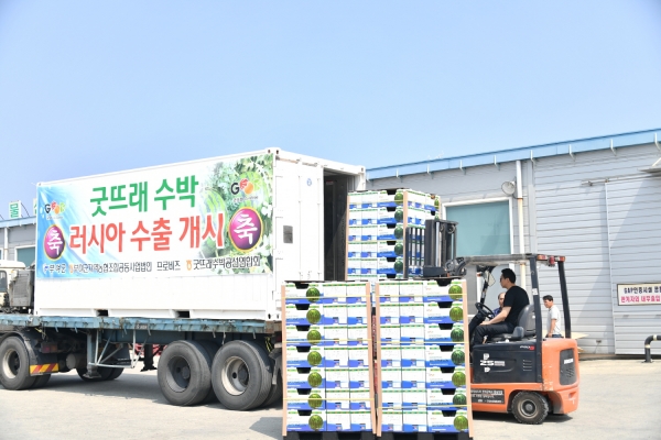 부여군 굿뜨래 수박 올해 러시아 수출 개시
