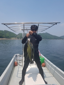 생태계 교란어종 퇴치 장면