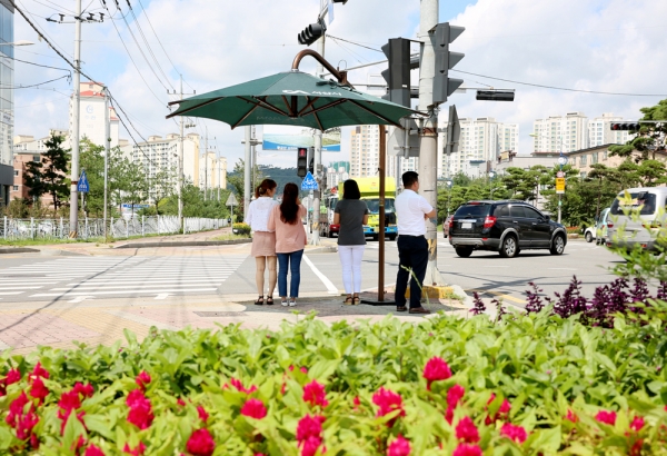 예천동, 교통섬에 설치한 그늘막