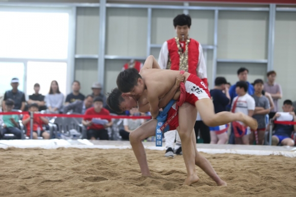 제71회 충남도민체전 경기 (씨름 모습)
