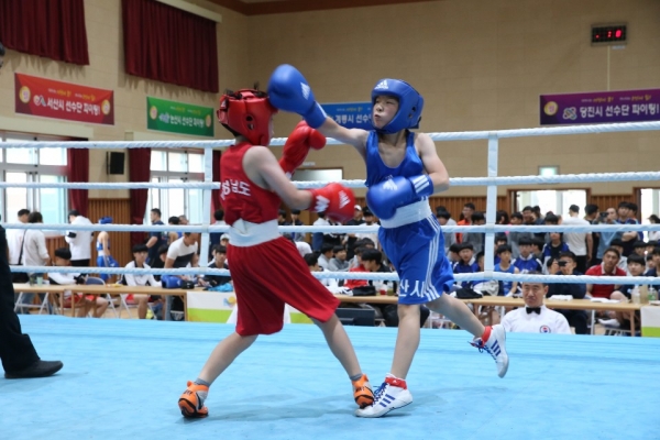 제71회 충남도민체전 (권투 경기)