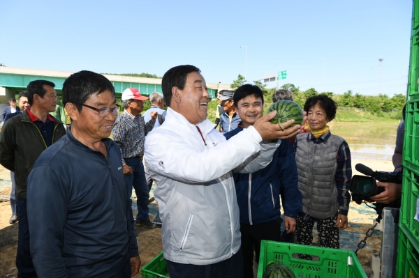 황선봉 군수를 비롯한 애플수박 재배농가 20여명이 참석한 가운데 신양면 서계양두련길 정송희 씨(72세) 농가를 방문해 첫 출하 축하