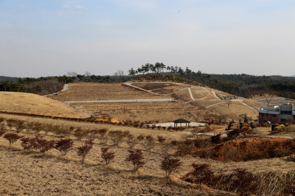 대호지 공설묘지