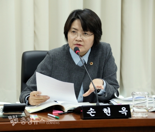 손현옥 세종시의회 의원