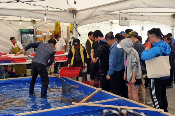 제14회 자연산 광어 도미 축제 개최 모습