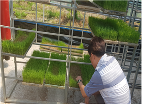 육모교육지도 모습