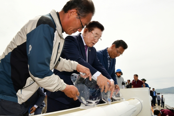 천수만해역 대하 공동방류 모습